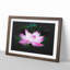 Pink Water Lily Flower Vol.2 - Picture Frame Graphic Art-62803968-62803971