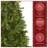 Downswept Douglas Fir Tree with Lights-1019149339-1019149337