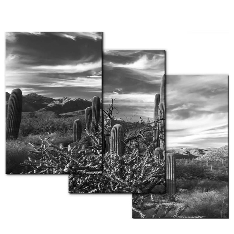 3 Piece Wrapped Canvas Print