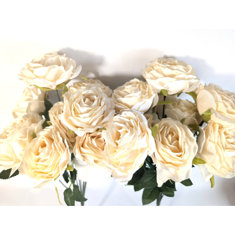 Roses du Sahara, Ivoire ivoire