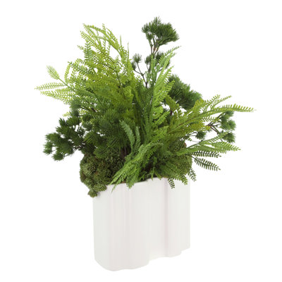 Fern and Pine Arrangement in Ceramic Vase