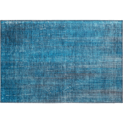 Cerrito Area Rug with Non-Slip Backing