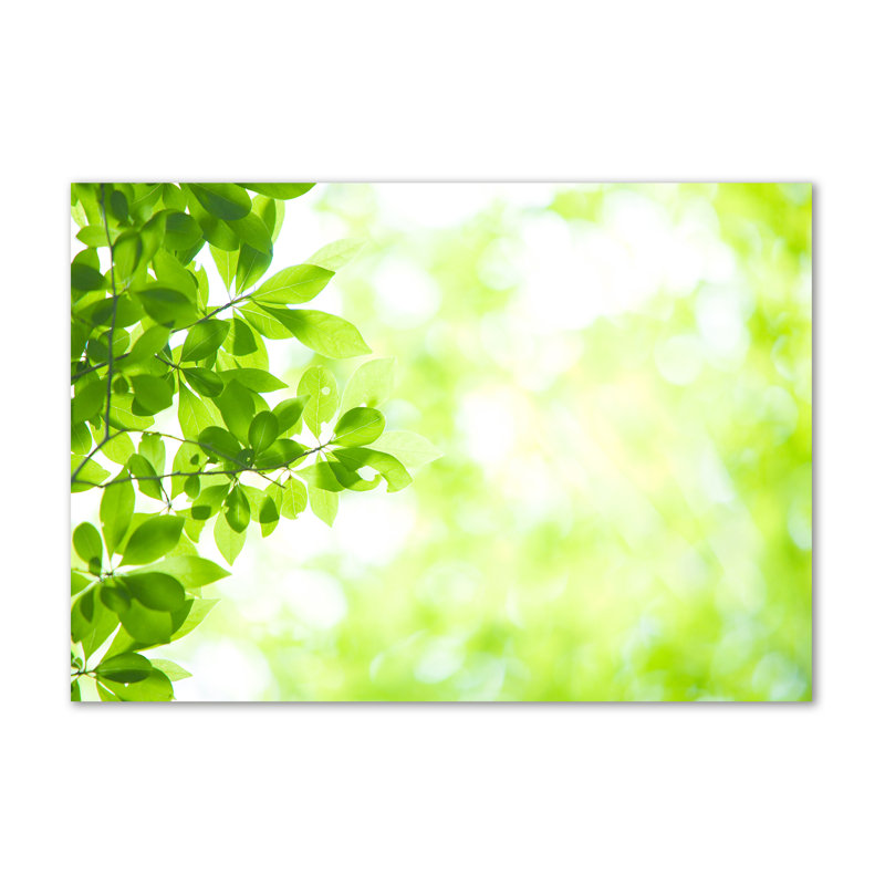 Leaves - Wrapped Canvas Print
