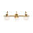 3 - Light Dimmable Bathroom Vanity Light With Globe Shade