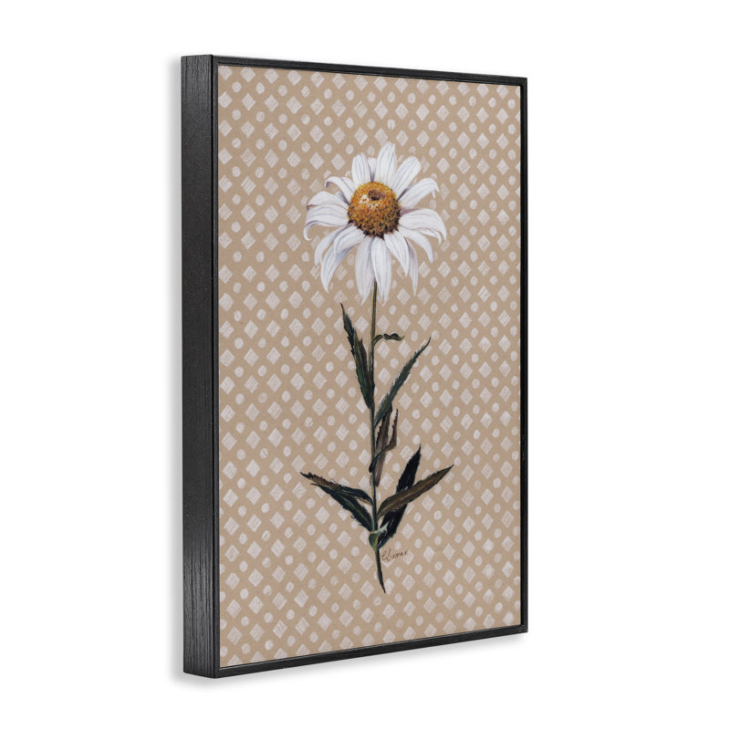 «Daisy Sprig over Neutral», par Giclée, H 18 po x l 12 po, Giclée encadrée noir minuit