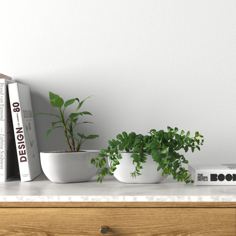 Maui Handcrafted Ceramic Indoor Pot Planter