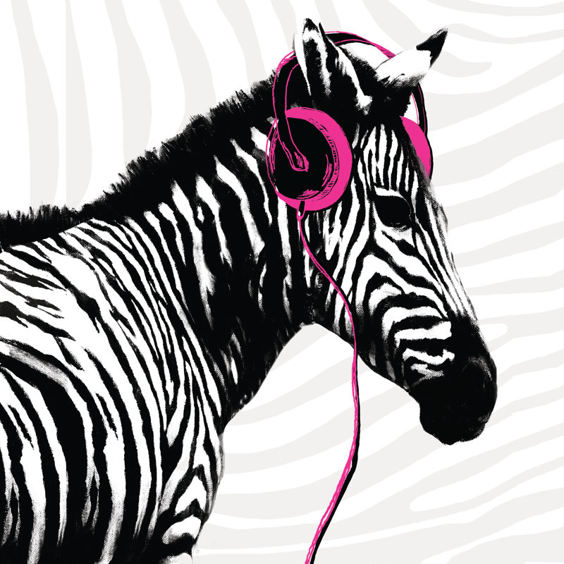 Rocken Out Zebra - Wrapped Canvas Print, 30cm H x 30cm W x 3.8cm D