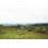Lake District I par Laura Marshall - Photographie sur toile tendue