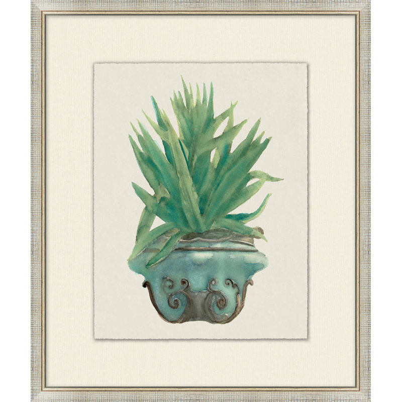 Aloe Pot 6 Print