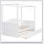 Canopy Day Bed With Trundle-931306671