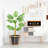 47" Faux Eucalyptus Plant in Planter