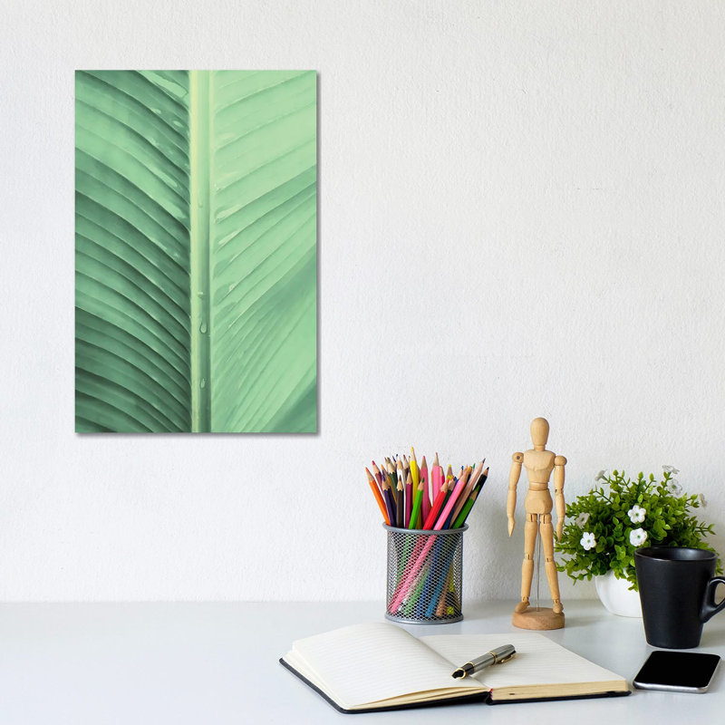 Banana Leaf by Emanuela Carratoni - Wrapped Canvas Gallery-Wrapped Canvas Giclée, 30.48cm H x 20.32cm W x 1.91cm D