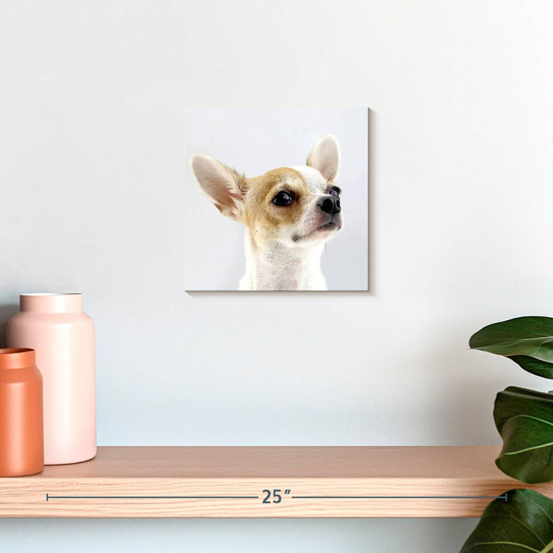 Crowle Musing Chihuahua, 10" H x 10" W