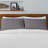 HOME Collection 100% Cotton Standard - Set of 2-1972888242-1920720807