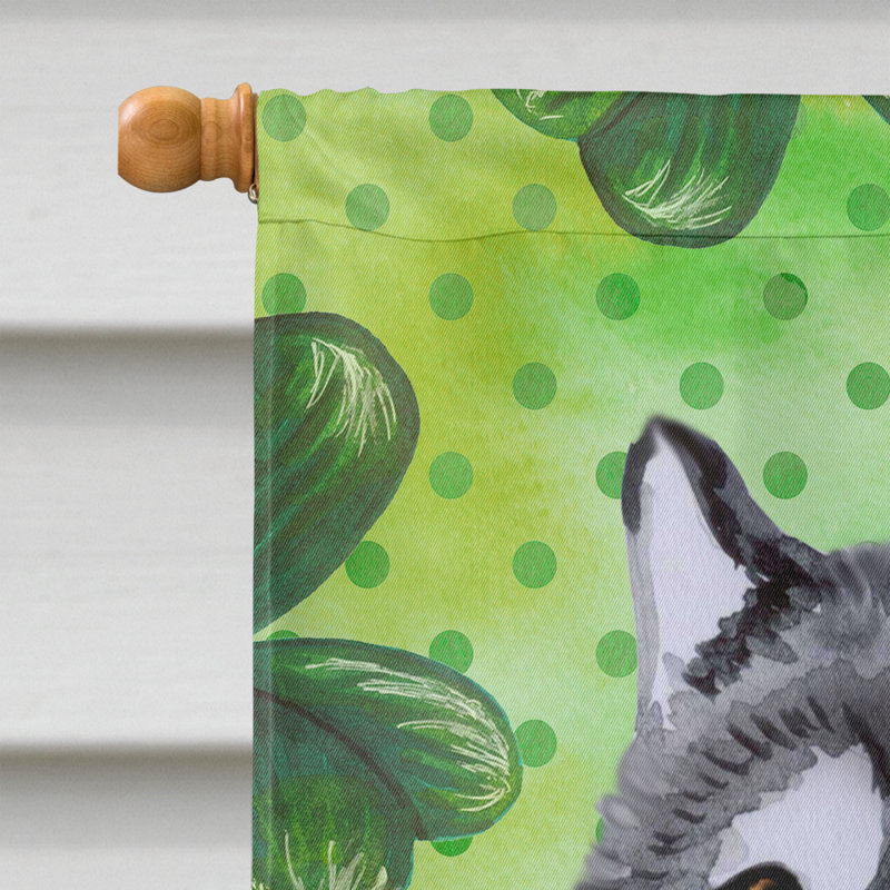 40 x 28 po en polyester à 2 côtés de la st patrick drapeau maison, Malamute d’Alaska gris