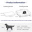 Canapé pour chien-96380727