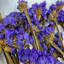 Real Preserved Mixed Bouquets Mix 4 Small - Med - Large-646765771