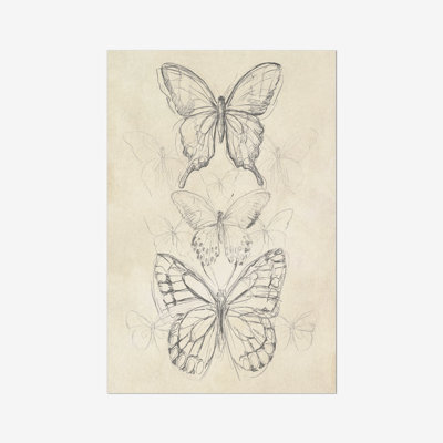 Vintage Butterfly II by June Erica Vess - Print