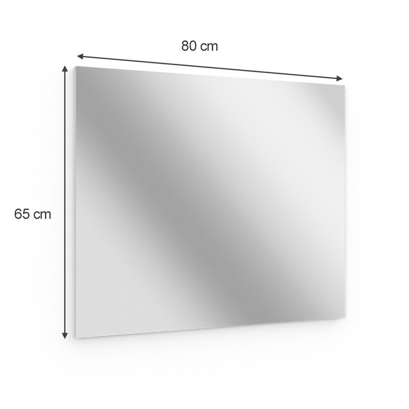 Neponset Glass Flat Wall Mirror