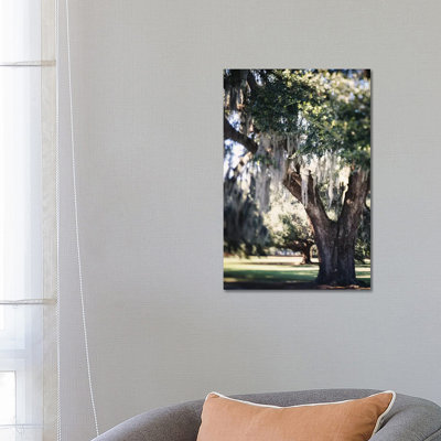 New Orleans Daydream by Ann Hudec - Wrapped Canvas Print