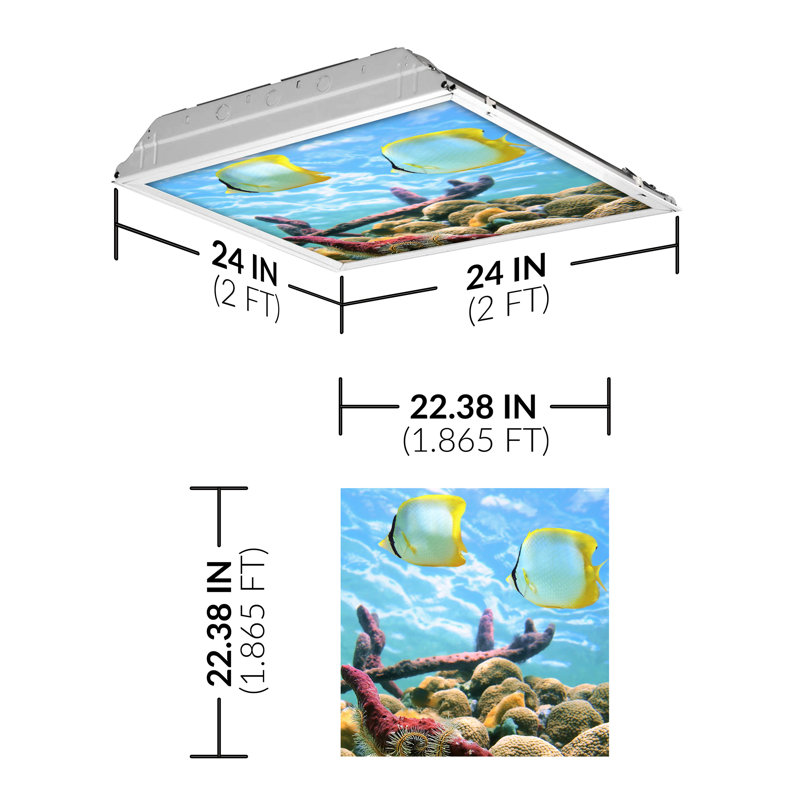 Ocean Square Fixture Component Ceiling Light