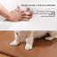 Tapis pour animaux-783369779