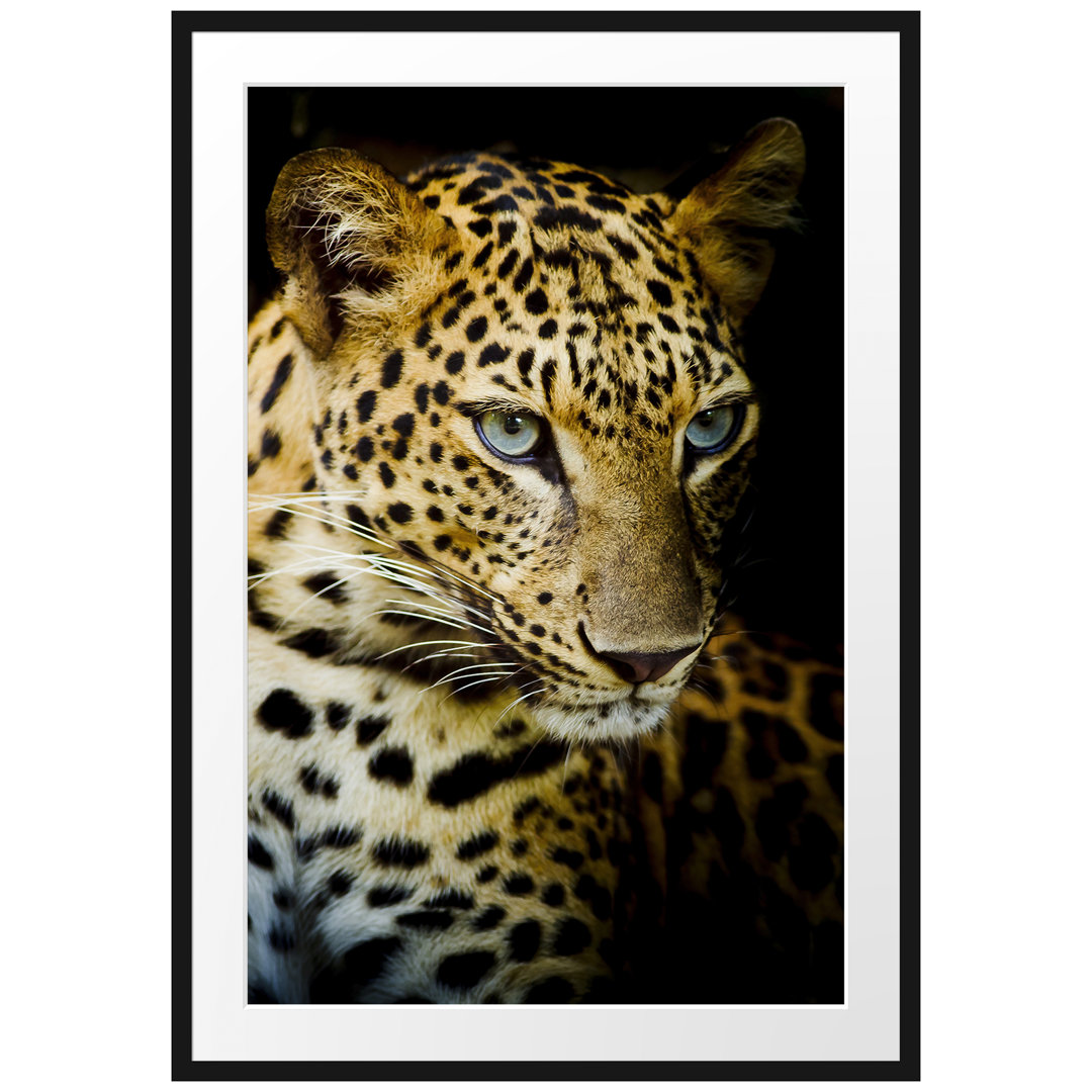 Gerahmtes Poster Leopard mit blauen Augen