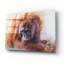 «The Daydreamer Orangutan» par Robert Campbell, art mural en verre acrylique-1371359676