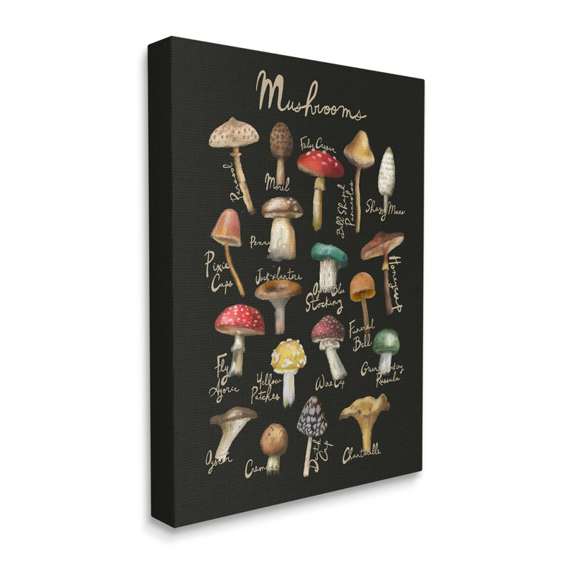«Varied Mushroom Kitchen», impression sur toile, H 20 po x l 16 po x P 1,5 po