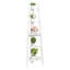 Falena 160cm H x 35cm W Wood Corner Bookcase