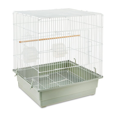 cage à oiseaux
