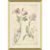 Watercolor Flower Studies Giclee Print by Soicher Marin Archives