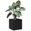 Pot Planter