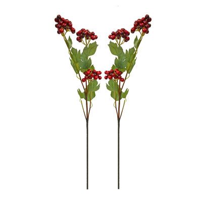 Ursa Berry Arrangement