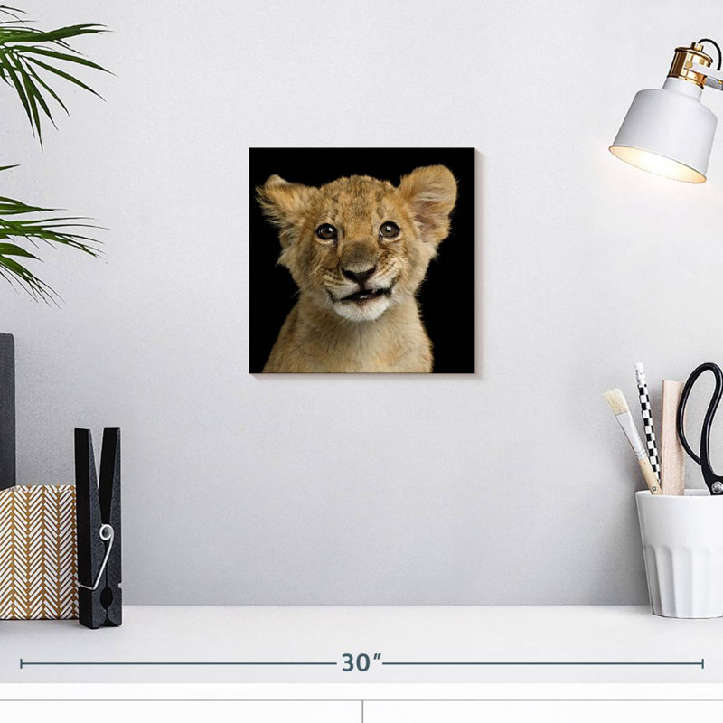 Tête de lion Brampt, H 10 po x l 10 po