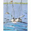 Choppy Waters par Phyllis Adams - peinture encadrée-64402008