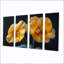 Ensemble d'art mural sur toile Nolle - Pansies-107605117