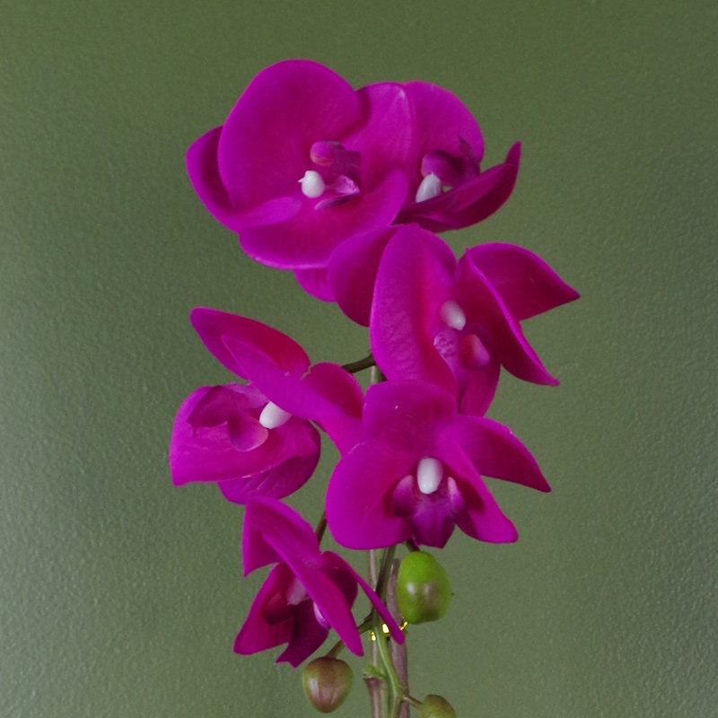 Plastic, Silk Artificial Arrangement in Pot, Pink, 46cm H x 15cm W x 15cm D