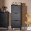 Oshiro Flip Down Shoe Storage-1439939300-1460368822
