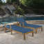 Chaise longue inclinable en bois d'acacia avec coussins Bevelyn (ensemble de 2)-1151858389