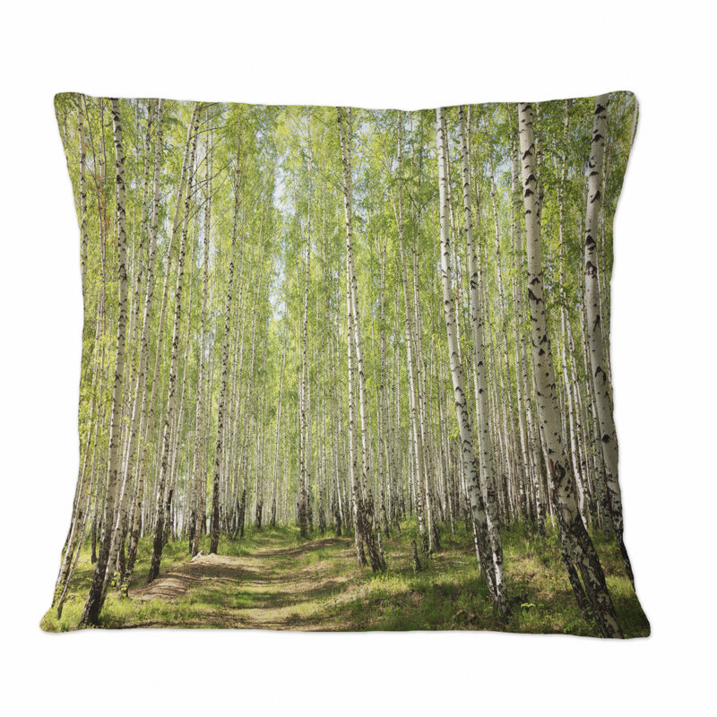 Coussin décoratif imprimé à la lumière du soleil à travers le bouleau vert, 16 po x 16 po