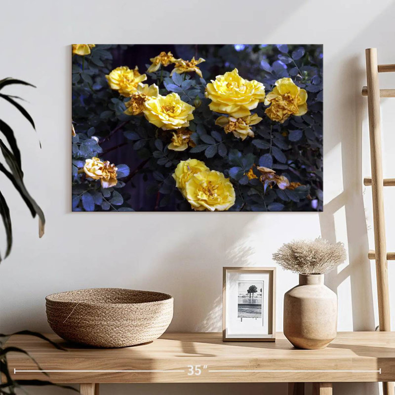 Harnek Yellow Roses Bush