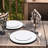 White Flat Round Disposable Plastic Dinner Plates (10") - 120 Plates