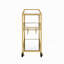 Chariot de service en miroir-1466780832-1466780845