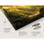 «Forest Light Path», art mural sur toile tendue-1757878259