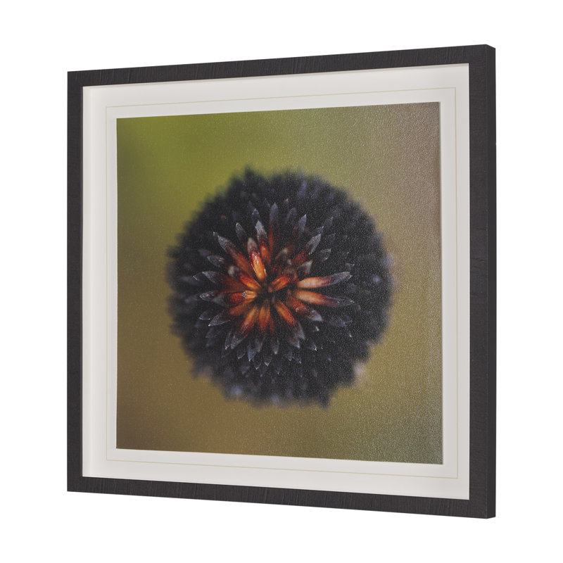 Collection par Stig Kalvelid, reproduction d'art encadrée à la main, emmêlée sous le verre, Lumineux