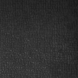 Joney Animal Print Wallpaper Double Roll