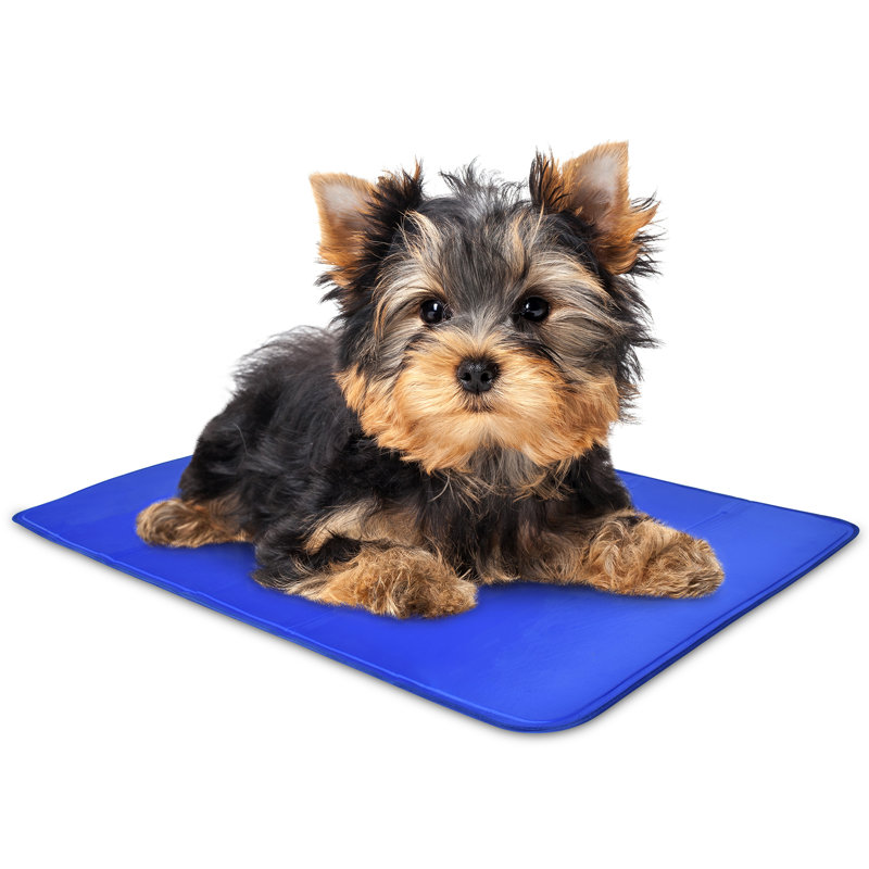 Blue Gel-Based Self-Cooling Pet Mat for Small Dogs