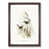 Walnut Framed selected