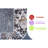 Multi Colored Area Rug For Nursery, Study - Stylish, Stain , Non-shedding, 6x9 Entryway-1741174367